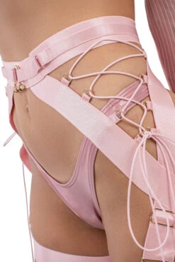 Naughty Thoughts XXX Rated Suspender - Pink -Clothing Store DL 09048copy