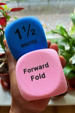 The Enviro Co. Pole Dice - Flexibility -Clothing Store IMG 1878