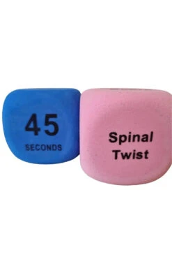 The Enviro Co. Pole Dice - Flexibility -Clothing Store Untitleddesign 2022 05 11T135430 798 1024x1024 2x png 1