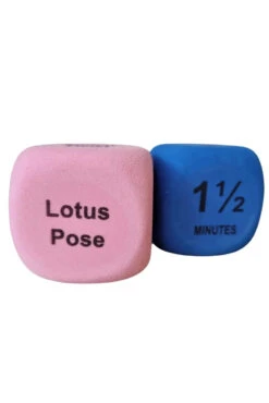 The Enviro Co. Pole Dice - Flexibility -Clothing Store Untitleddesign 2022 05 11T135515 059 1024x1024 2x png