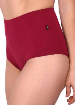 Cleo The Hurricane Essential High Waisted Shorts - Merlot