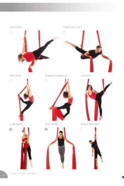 Spin City The Ultimate Silks Bible -Clothing Store slice7